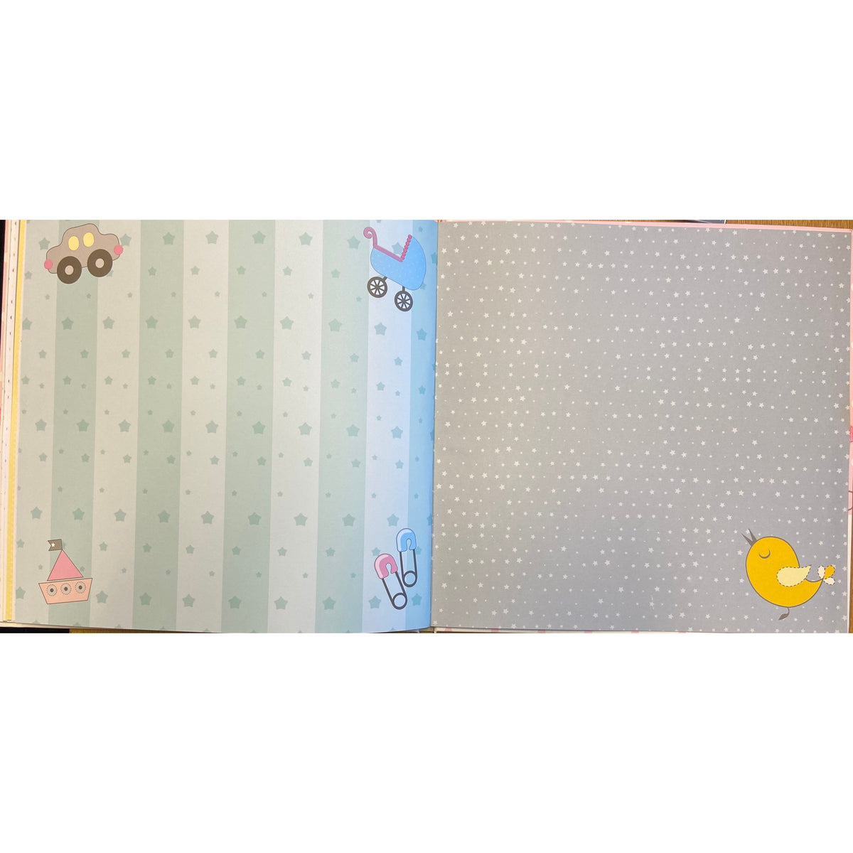 Baby Record Book in Blue
