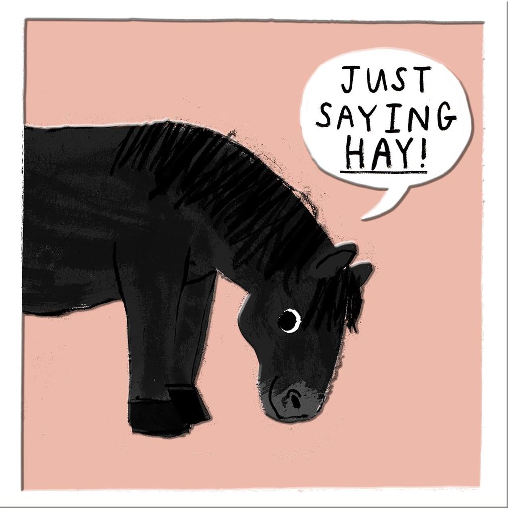 Just Saying Hay Greetings Card
