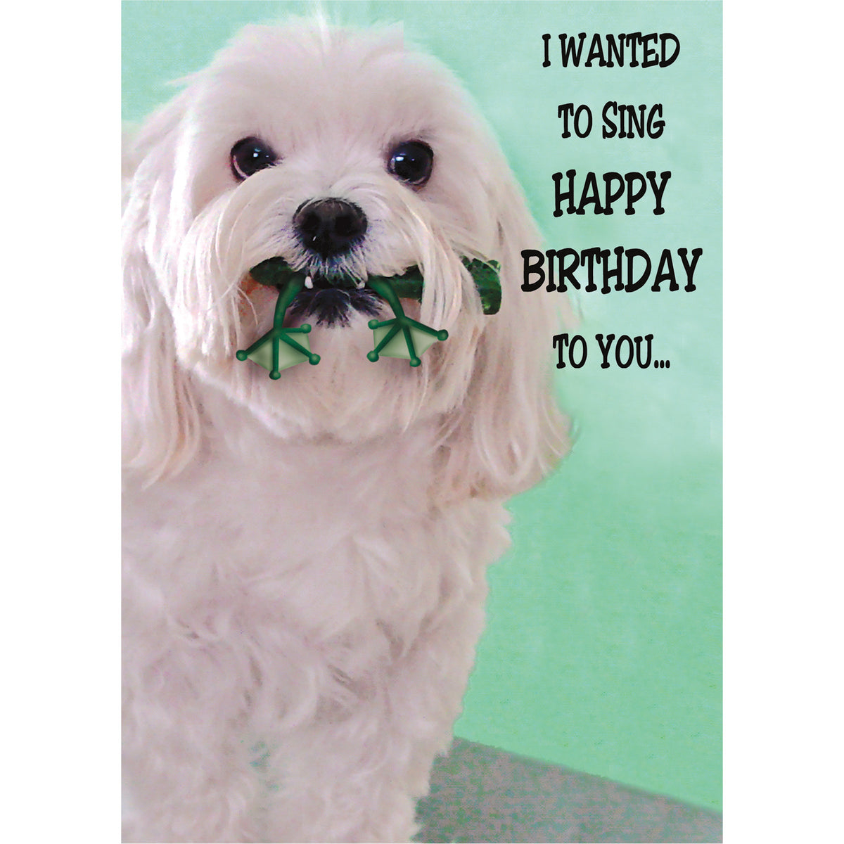 Dog &amp; Frog Humour Birthday Greetings Card