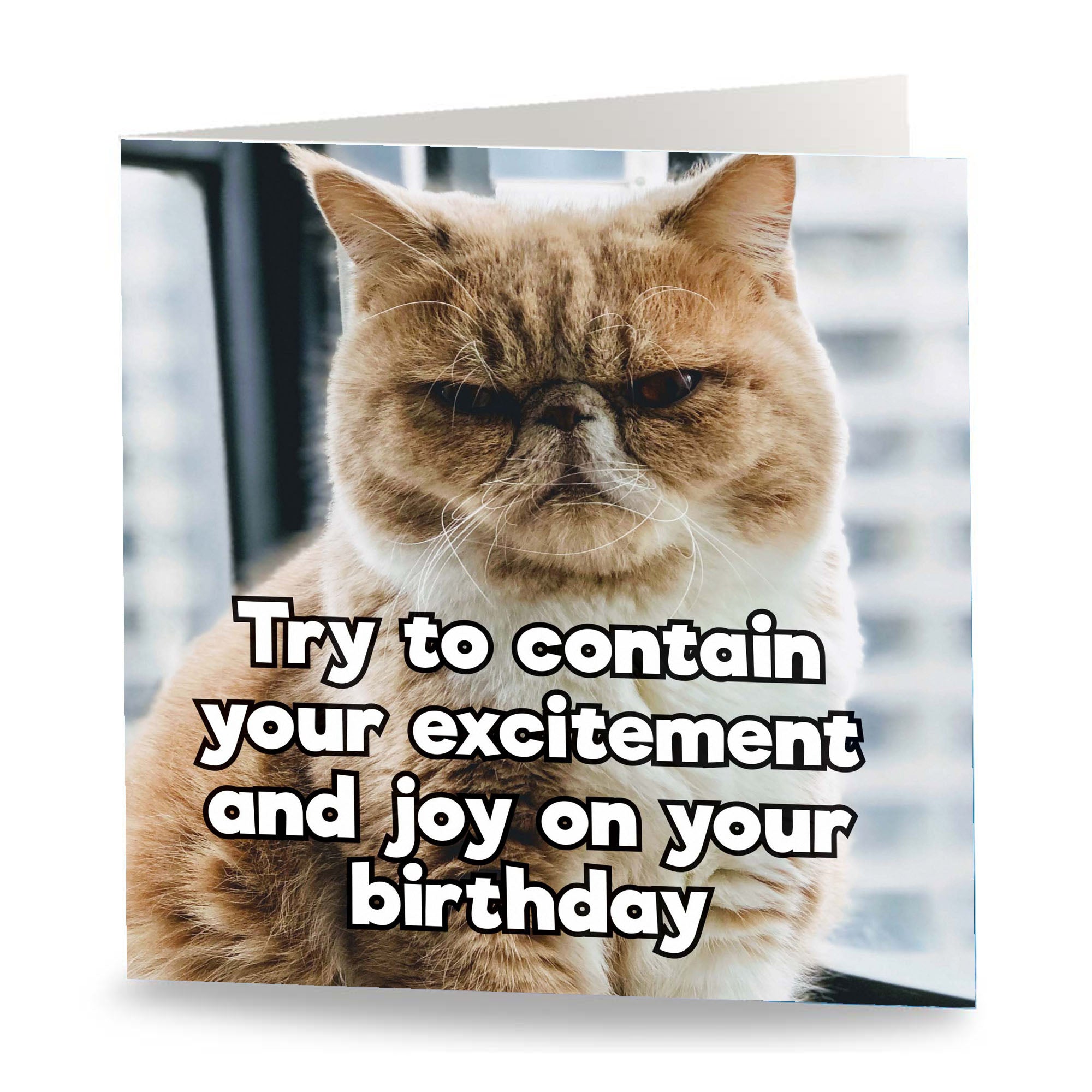 Contain Your Excitement Card Front
