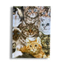 Cats Montage Notebook A5