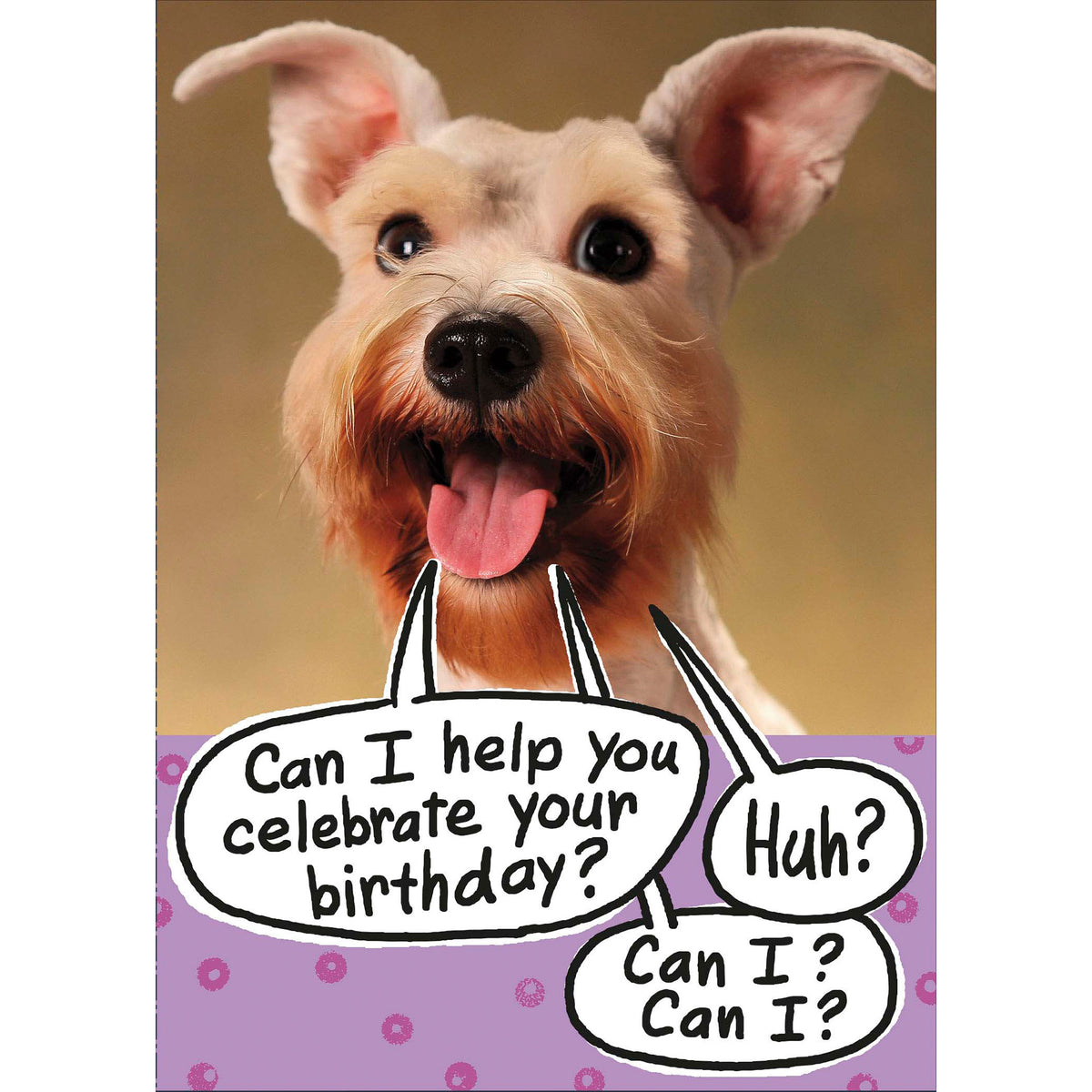 Happy Dog Birthday Greetings Card