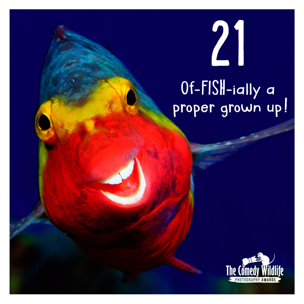 21 Of-fish-ially Birthday Greetings Card