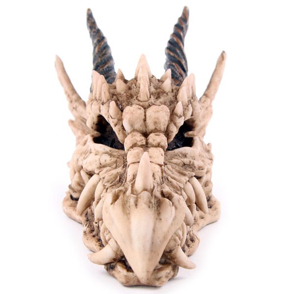 Dragon Skull Money Box Front
